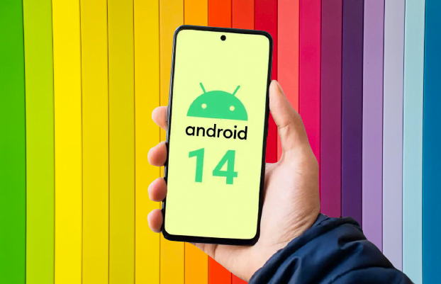 Android 14 Beta 31
